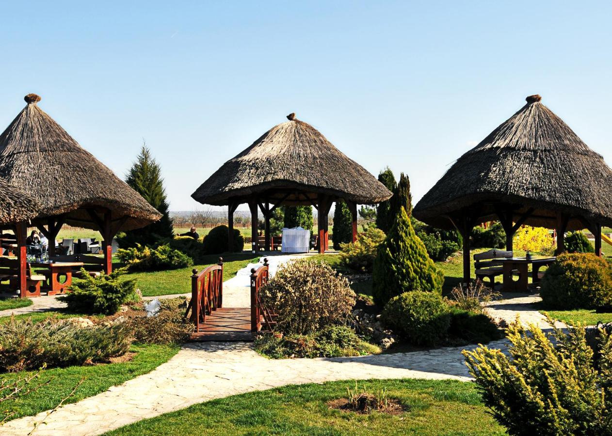 בלגרד S Club Resort Hotel Aqua Park And Spa מראה חיצוני תמונה